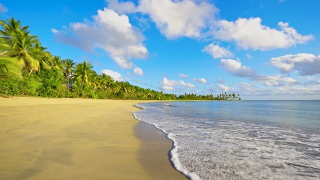 Palm beach in Tahiti with an idyllic pristine ocean and crystal clear turquoise water. A tropical island paradise in Rangiroa Atoll, Tuamotu Islands, French Polynesia. Vibrant tropical landscape.