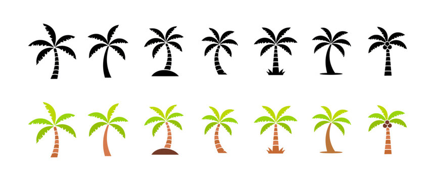 A comprehensive collection of beautifully designed palm tree icons offering various styles and perspectives for tropical themed projects digital interfaces