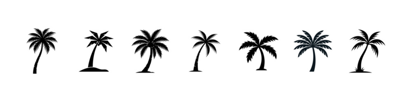 A diverse collection of black silhouette palm tree icons showcasing varying shapes and sizes perfect for tropical themes summer designs