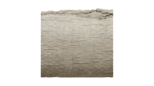 Closeup of smooth grey tree bark texture isolated on transparent background