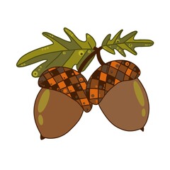 Two Acorns with Autumn Oak Leaves © Hyoejin