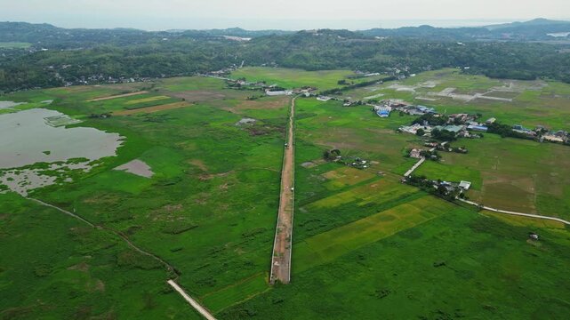 Villa Bernardo Farm. Unfinished road construction. in Morong, Rizal showing Filipino farmers working among rice crops during daytime.