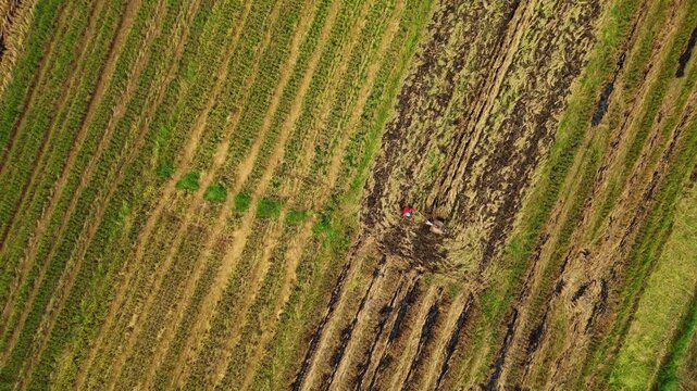 Cinematic drone footage of a rice farming community in Morong, Rizal showing local agricultural practices and rural Philippine livelihood.