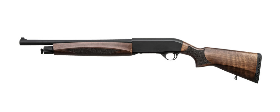 Hunting shotgun with dark wooden stock