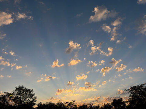  sunset sky, with golden light streaming through scattered clouds and silhouetted trees at the horizon.