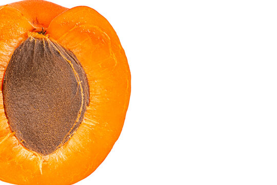 Macro view of a single fresh orange apricot half with a brown pit, positioned on the right side with copy space isolated on a pure white background
