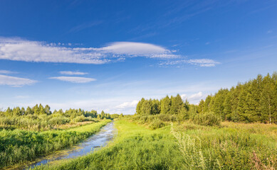 Fototapeta premium Serene countryside path with water stream, vibrant greenery, and open sky
