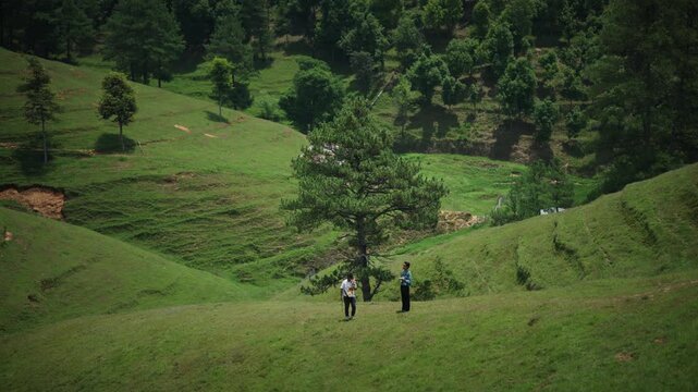 Two men stand talking beneath a lone pine tree in a sweeping green valley surrounded by rolling hills and patches of distant forest