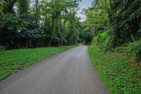 Winding road through lush green forest in Hungary.