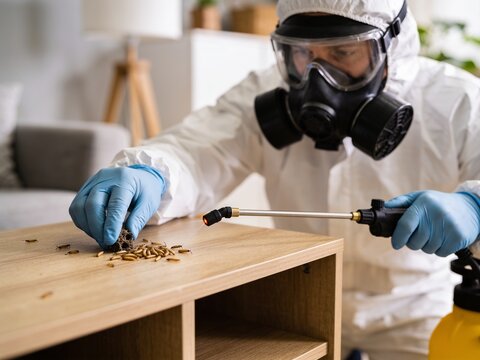 A pest control professional in a hazmat suit and mask uses a sprayer to treat a termite infestation.