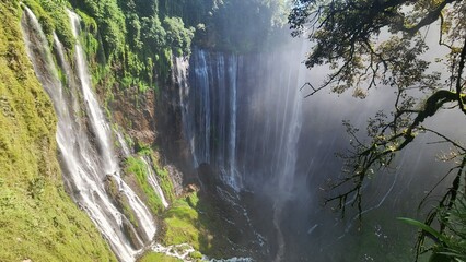 waterfall in the forest © gochan