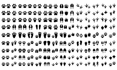 Fototapeta premium Animal footprint and paw print icon collection featuring wildlife tracks, bird footprints, pet paw marks, dinosaur traces and nature trail symbols in vector design