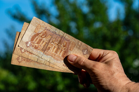 Hand holding Egyptian pound banknotes, close up. Person's hand holding three one Egyptian pound paper currency notes with Abu Simbel temple design against blurry green nature and blue sky background