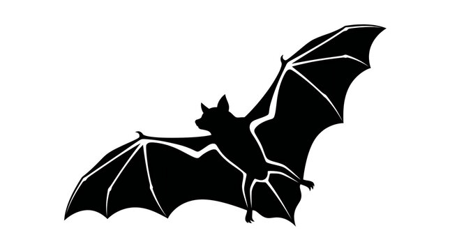 Black Flying Vampire Bat Silhouette Vector Graphic