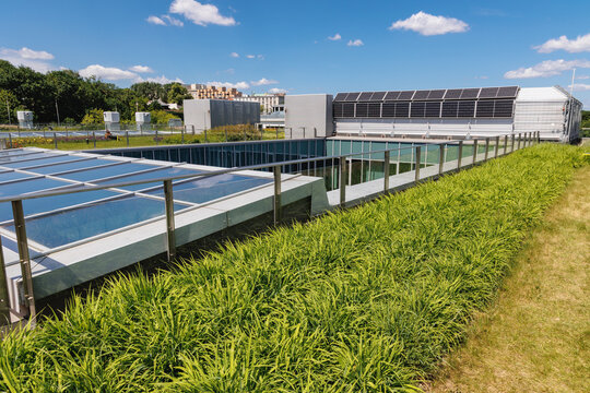 Warsaw, Poland - May 27, 2026: Green rooftop at University of Warsaw Institute of Applied Linguistics