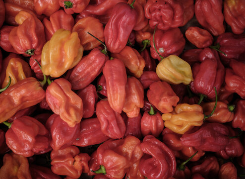 Background Of Fresh Organic Hot Peppers
