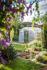 Fototapeta premium Greenhouse in back garden with open door