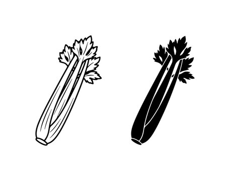 Celery Stalk Vector Icons, Fresh Vegetable Illustration, Healthy Food Graphic Resource