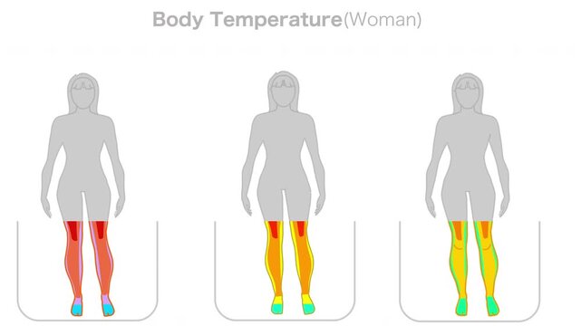 Human body temperature animation. Warm, normal, cold woman body. Core falling from high temperature towards limbs. Thermal spectrum camera scan. Girl thermographic, footage video