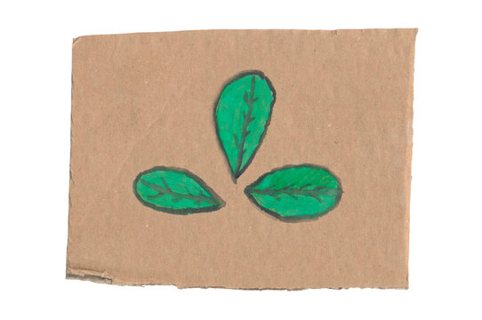 Hand drawn green leaves illustration isolated transparent png for eco product packaging, organic logo design, natural cosmetics branding, and rustic greeting card decor