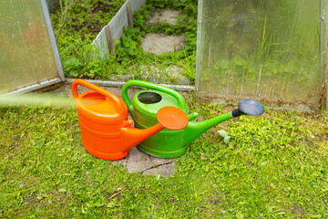 Orange and green watering cans standing on garden path inside greenhouse with tomato plants © Светлана Высокос