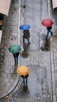 People walking with colorful umbrellas on wet cobblestone street