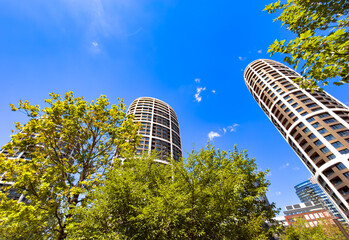 Modern oval towers framed by green tree branches. Bright sunlight illuminates the residential towers seen from below on a clear summer day. © Анна Терелюк