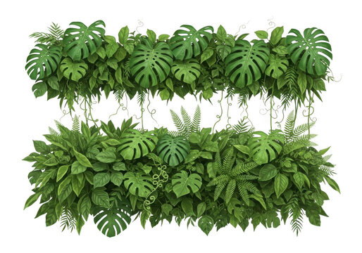 Lush green tropical foliage border