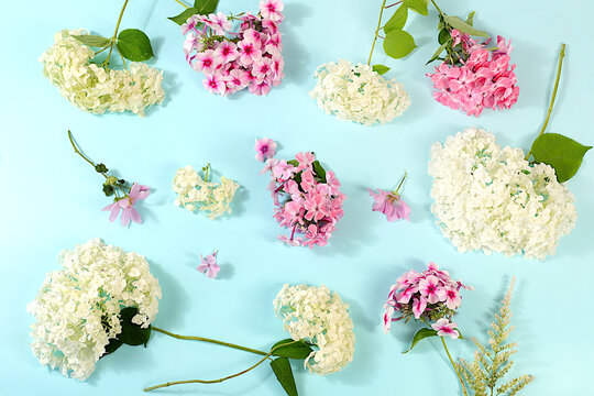 Pattern of different varieties of phlox and garden hydrangeas on a bright sunny background, advertising banner for summer and autumn products, abstract floral arrangement, flat lay still life,