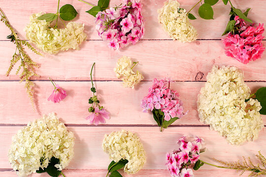 Pattern of different varieties of phlox and garden hydrangeas on a bright sunny background, advertising banner for summer and autumn products, abstract floral arrangement, flat lay still life,