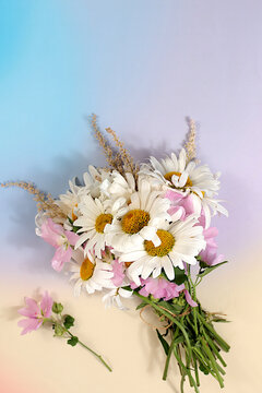 Bouquet of white daisies and mallow on bright sunny background, summer and autumn product advertising banner, abstract floral arrangement, flat lay still life, autumn holiday card with space for text