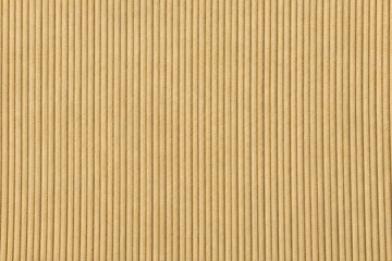 Fototapeta premium Beige Corduroy Fabric Texture Background with Soft Vertical Ribbed Pattern 