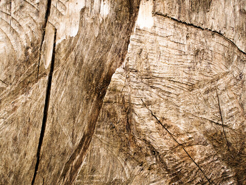 Rough old wooden texture with cracks and chainsaw marks background