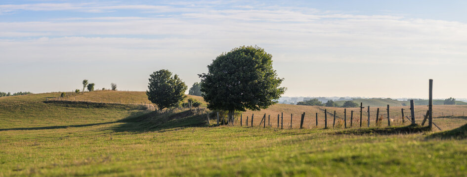 Quiet rolling pasture with trees and rustic fence line.