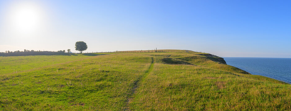 Panoramic grassy coastal plateau with lone tree and sea.