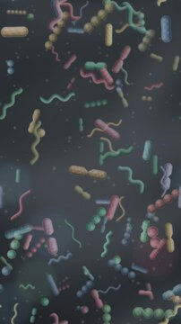 Gut microbiome bacteria ecosystem rod coccus and spiral microbes dividing in mucus seamless loop in cool slate tones vertical 9:16