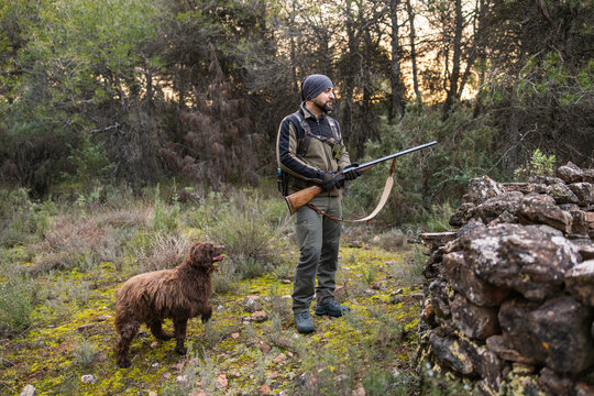 Hunter and spanish water dog in forest during hunting season