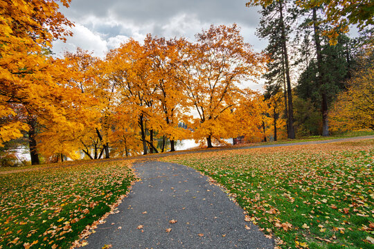A small waterfront park with paved walking trail along the Spokane River at Autumn with overcast skies in Spokane Valley, Washington State.