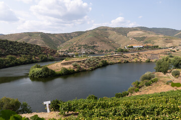Fototapeta premium Douro river winding through alto douro vineyards