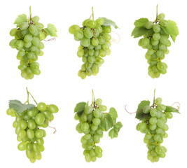 Naklejka premium Fresh grapes. Many clusters isolated on white, set