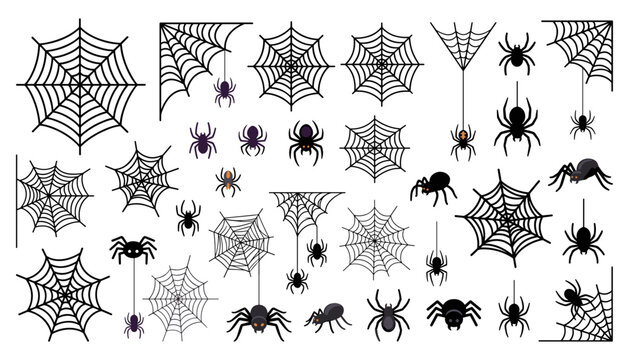 Halloween spider web and spider silhouette collection with detailed cobwebs, creepy arachnids, hanging spiders and spooky decorative elements