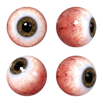 Set of realistic bloodshot human eyeballs from different angles