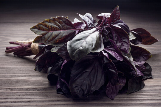 Fresh bunch purple basil on dark wooden table