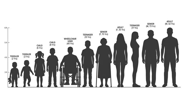 Diverse Human Body Types and Size Comparison Silhouettes