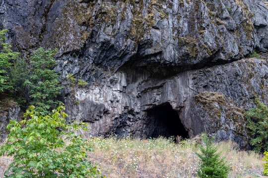 Rock Cave Entrance In Forested Cliff Near Yale, BC Canada With Wildflowers And Mossy Ledges