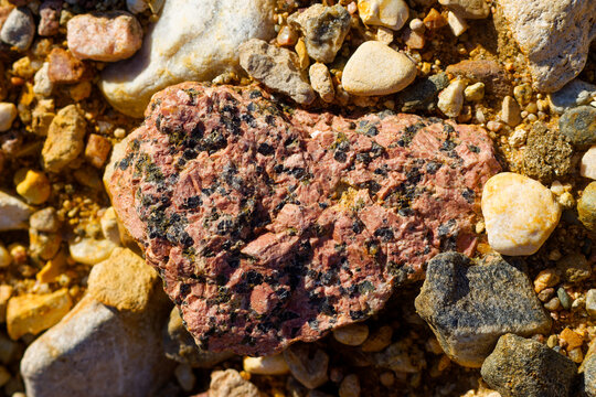 Close-up of a porphyritic pink granite stone with large potassium feldspar crystals, grey quartz grains and dark minerals resting on a rugged quarry ground surface in bright sunlight