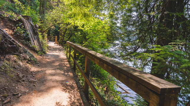 Wooden railings on lakeside BC forest trail.