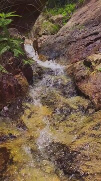 Clear mountain stream rushing over weathered rocky bed surrounded by green ferns video with sound