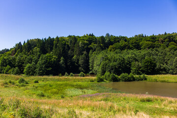 Fototapeta premium Serene summer landscape featuring a quiet pond nestled in a vibrant green meadow beneath a vast clear blue sky, surrounded by a dense mixed forest in the sunny countryside