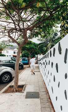 A guy walks along a path with an unusual fence and tropical trees on an island.